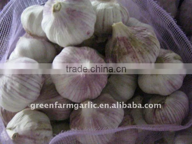 white garlic in mesh bags
