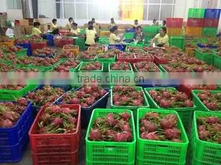 Vinagrin Import Export Co.,ltd company overview - view 3