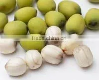 white dried lotus seed