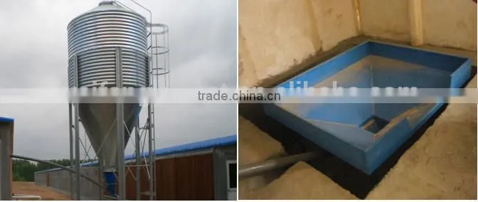 chicken house broiler rearing equipment