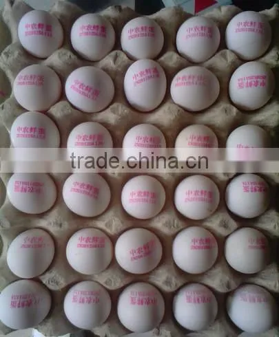 30 holes digital print machine/egg printer/Inkjet Printer