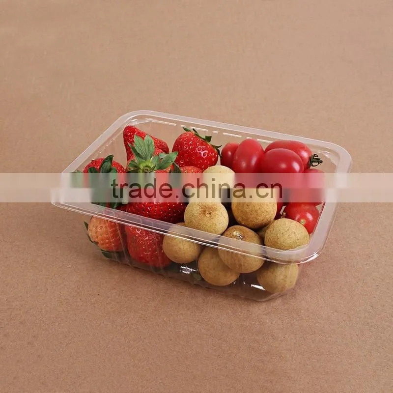 Cheap 6pcs clear plastic kiwi fruit packaging container,fruit boxes