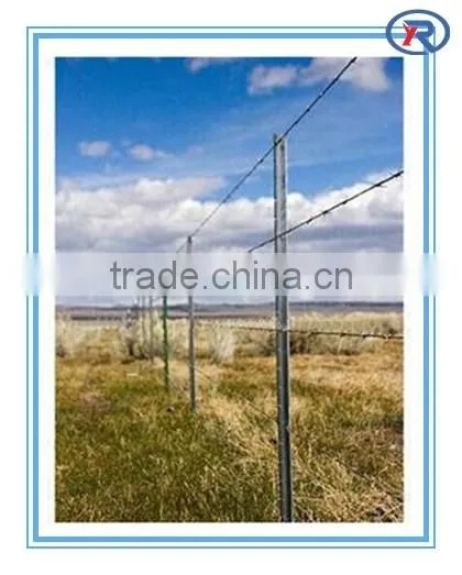 cheap good quality garden or farm use black Y fence post with hole(Australia standard)