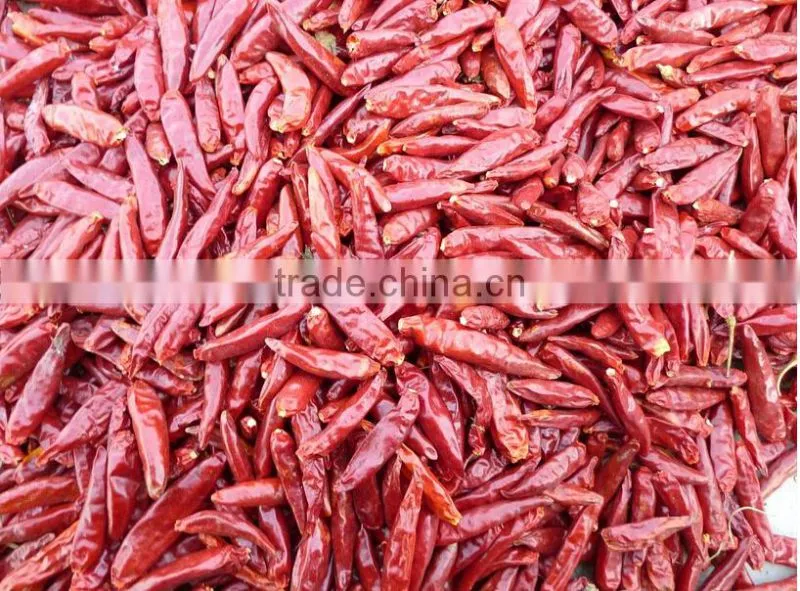 Aronia Melanocarpa Fruit Drying Machine