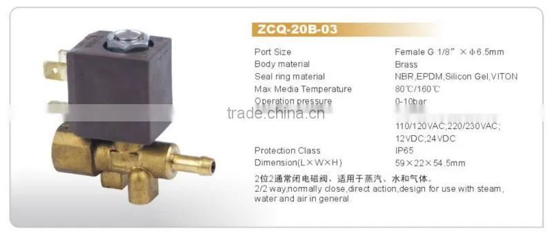 Steam Cleaner/Ironing Brass Solenoid Valve