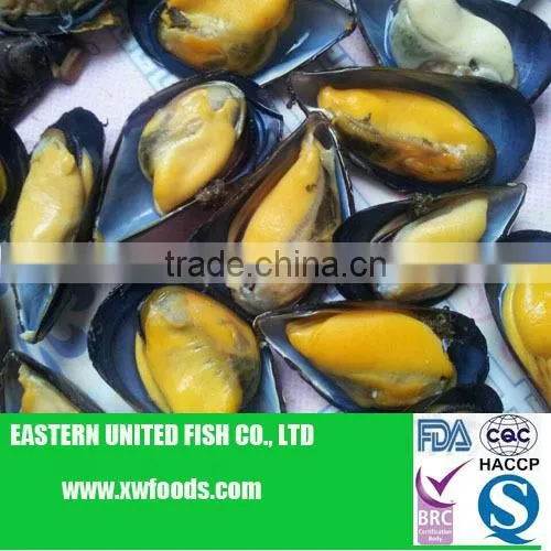 IQF cooked blue frozen mussel meat