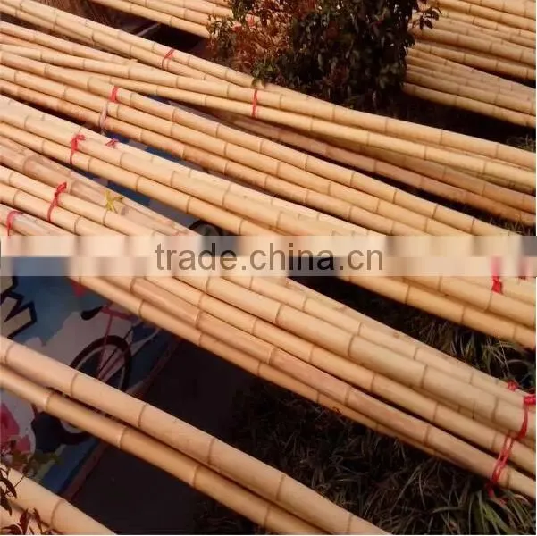 high quality garden bamboo canes