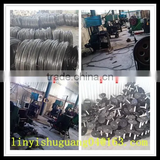 High Quality Electro Galvanized Animal Chain