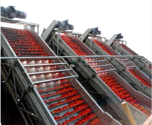 Fully Automatic Blackberry Jam Blueberry Jam Raspberry Jam Production Line