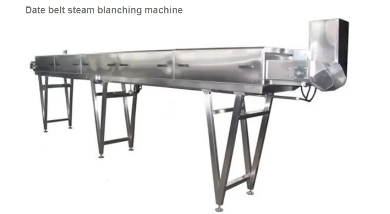 Turnkey Project Date Paste Production Line