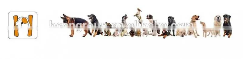 Eco-Friendly Feature decorative dog collars