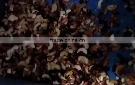 Cashews processing machine/SORTING MACHINE