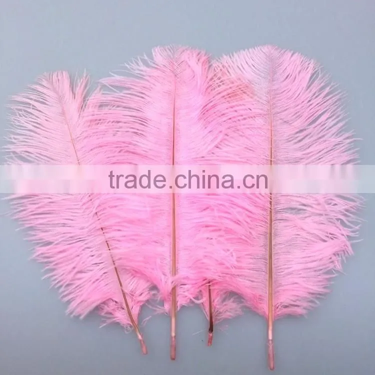 Pink Ostrich Plumes Feathers, Feather Ostrich Plumes, Different Colours Carnival Ostrich Feathers