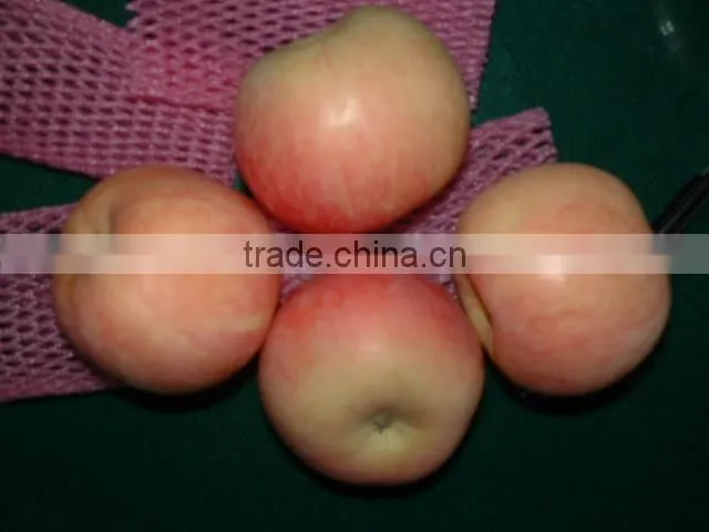 red fresh Fuji apple