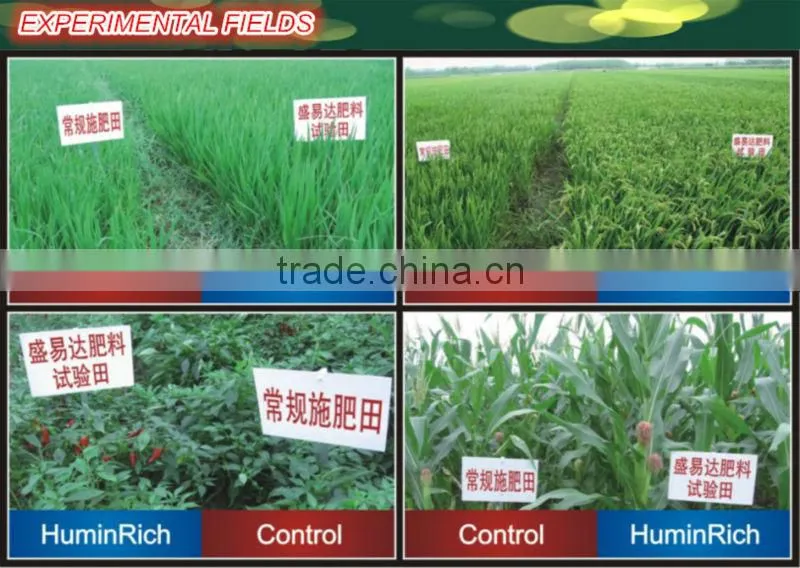 Huminrich Shenyang Blackgold Humate Organic Nitrogen In Mushroom