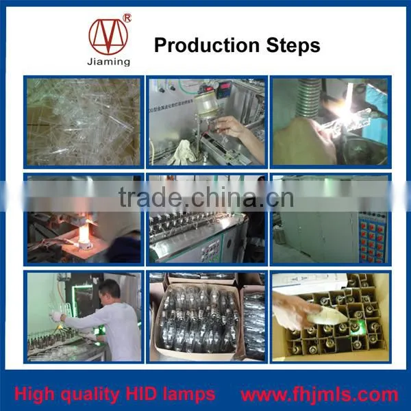 600W Metal Halide Lamp