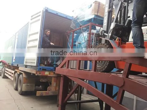 PROFESSIONAL FACTORY Masalta reversible plate compactor for hot sale