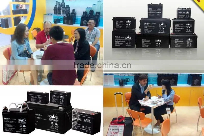 Slead lead acid AGM battery 6v 10ah rechargeable battery for scales