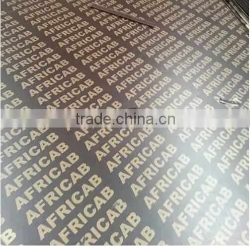 Film faced plywood/Shuttering plywood/Construction plywood/FFP
