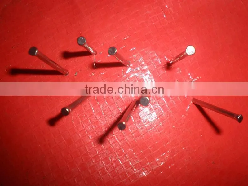 bright polished best quanlity common nails