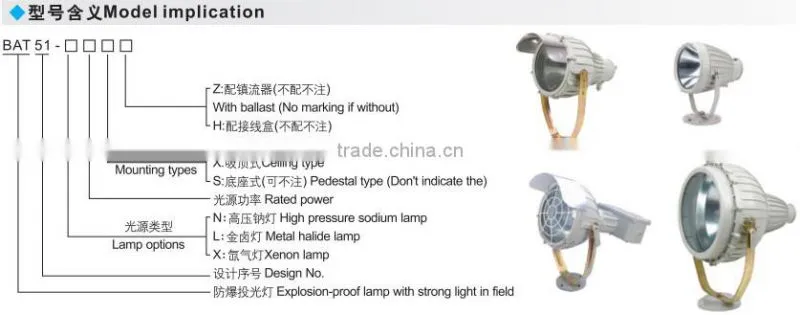 BAT51- Professional Explosion proof cast light