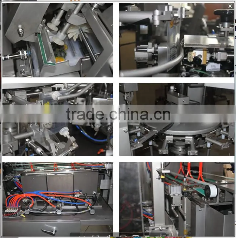 Cheapest Automatic Beef Rotary Vacuum Filling-Closing-Sealing Bag Making Machinery