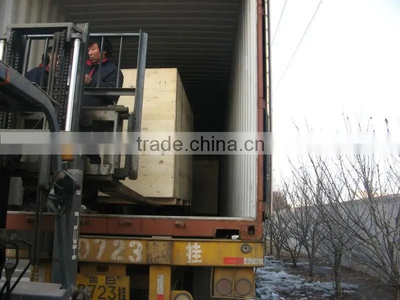 snack pellets food processing machine