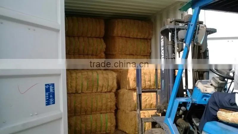 Coconut Fiber High Quality _ QQ : 2290755420