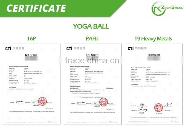 ZHENSHENG exercise stability ball with pump