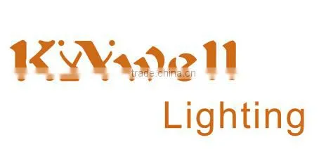 North Amenrica swing arm wall sconce wall light. wrought iron wall lamp, corridor restaurant industry