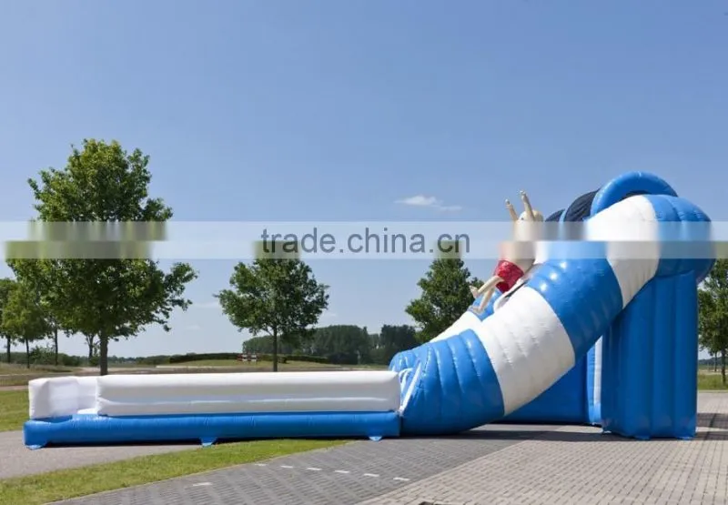 color customized inflatable water or dry slide / special design inflatable slide for summer