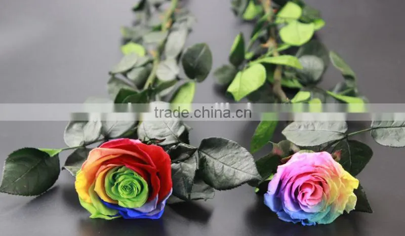 2016 Yiwu Aimee wholesale dubai importers hotsale preserved fresh flower(AM-PF03)