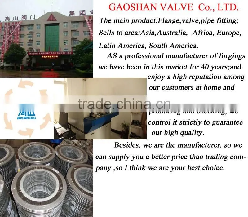 Heat resistant round flat gasket pipe fitting