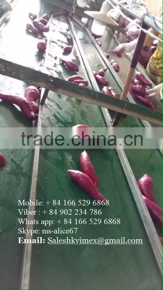 Fleshed sweet potato