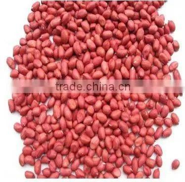 Chinese shandong new crop raw peanut kernels