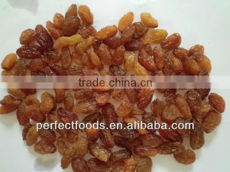 dried fruit raisin sultana
