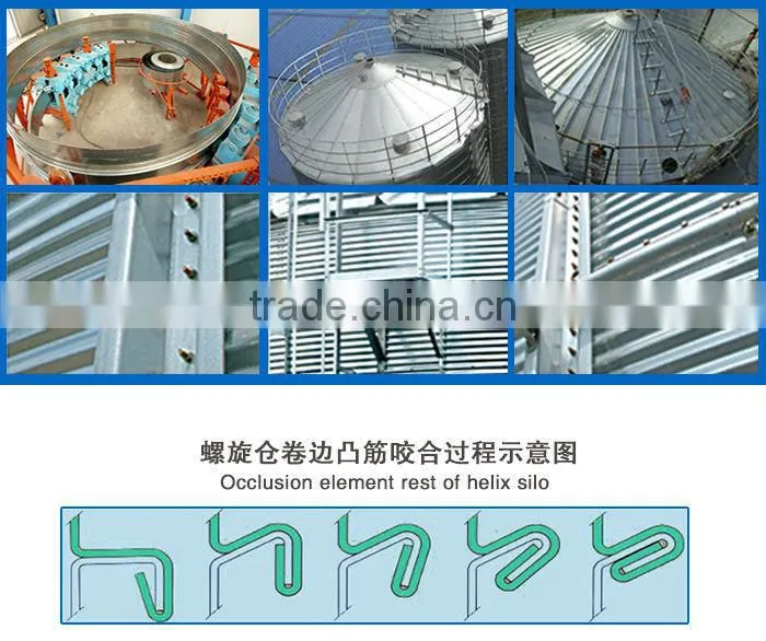 Gold Supplier cone bottom and flat bottom silo for paddy storage