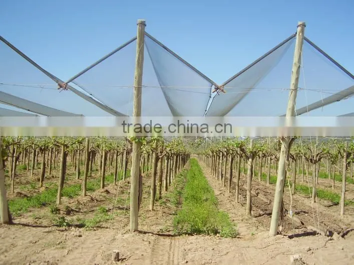 7*3mm mesh size anti hail protection net