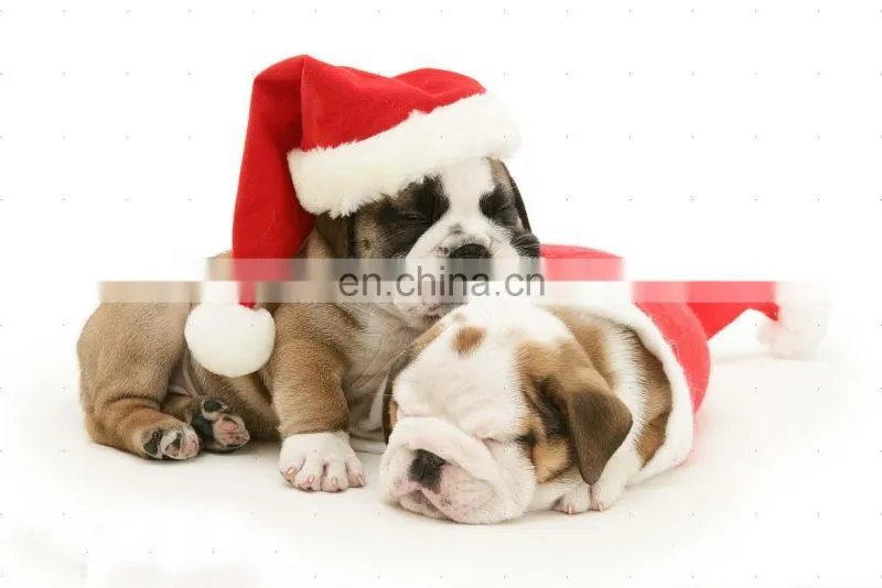 Dog with christmas hat plush dancing santa hat christmas gift