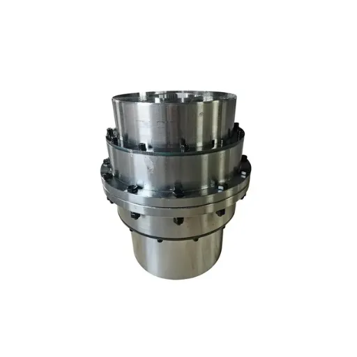 drum gear coupling (2)