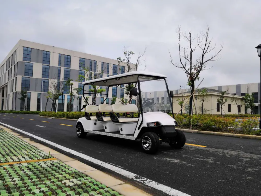 11/14-Seat Electric Sightseeing Vehicle for US Resorts & Scenic Areas –Enclosed with HVAC, LSV-Ready