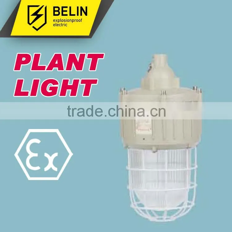 CCd-92 Explosion proof Light