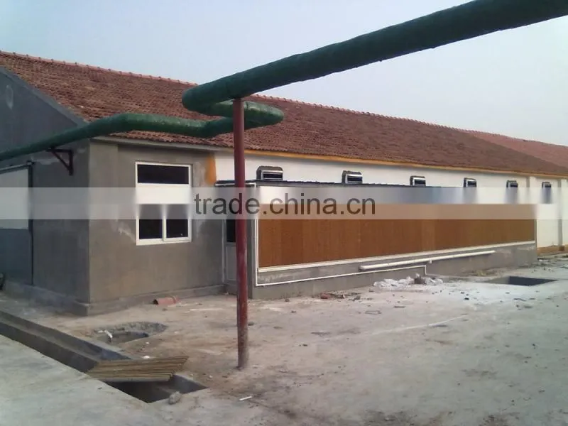 jinan birdsitter ISO9001 qualified evaporative cooling pad for poultry house
