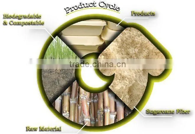 biodegradable paper food packing--8"*8"*3.19"