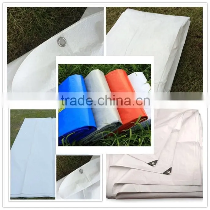 Newest pe tarpaulins white waterproof plastic tarp