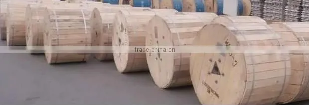 ACSR Electrical Conductor