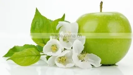 Green apple concentrate fruit juice