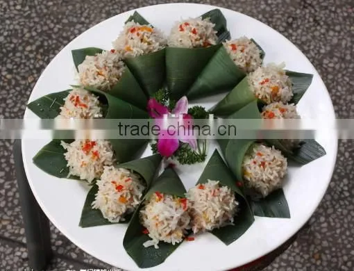 Fresh or vacuum Sushi Bamboo leaves