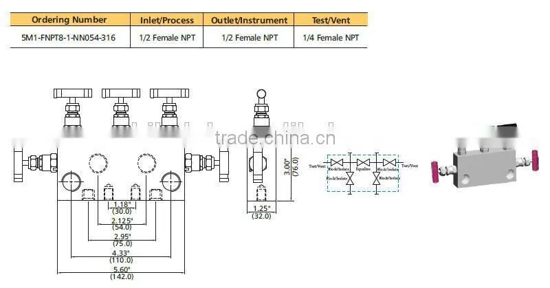 Rosemount Type 5 Valve Manifolds
