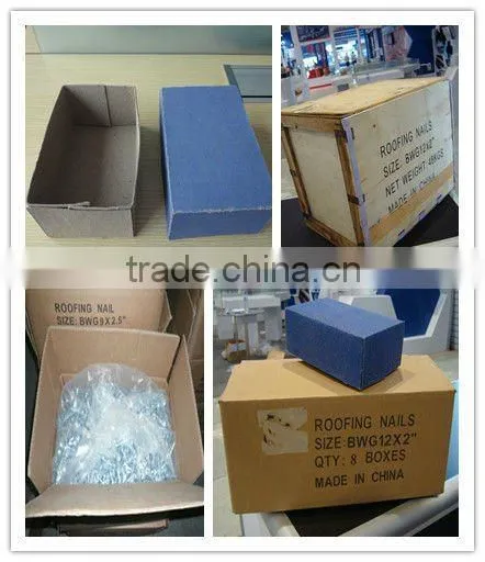 Galvanized umbrella roofing nail